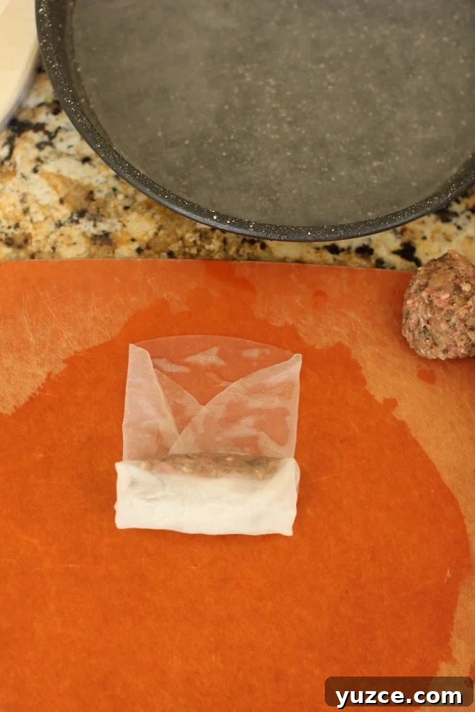Gluten-Free Beef Sausage Rolls with Creamy Tzatziki Dip 10 rolling rice paper wrappers6