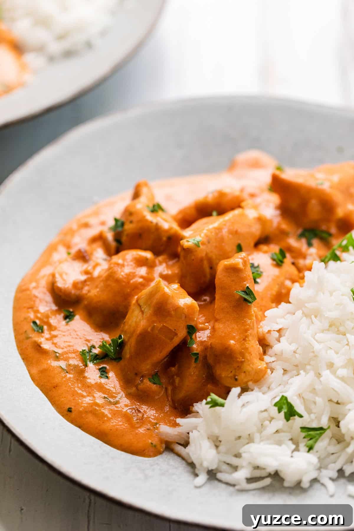 brazilian chicken stroganoff recipe with a side of rice on a plate