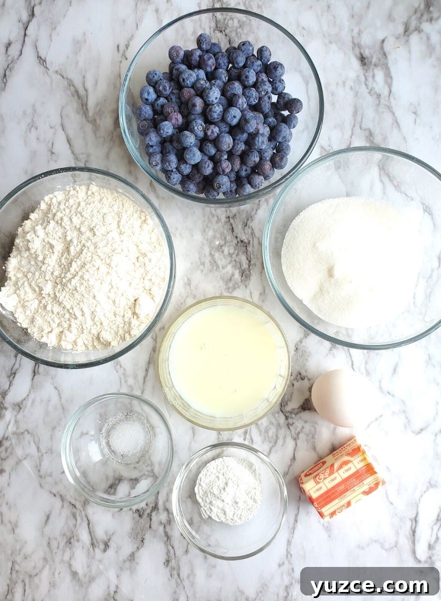 Moist Blueberry Crumble Cake Recipe for Every Occasion 4 img 88104 3