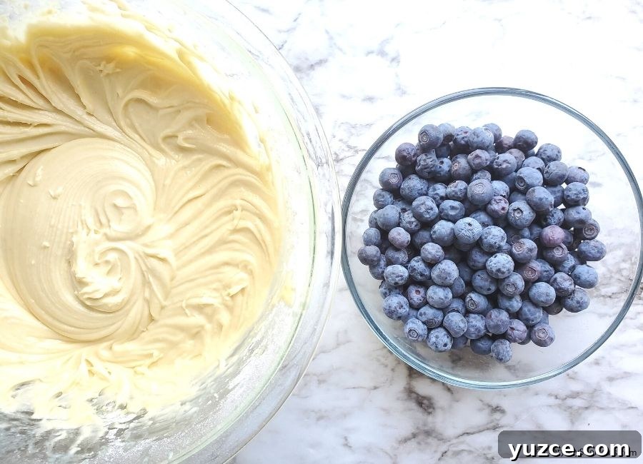 Moist Blueberry Crumble Cake Recipe for Every Occasion 6 img 88104 5