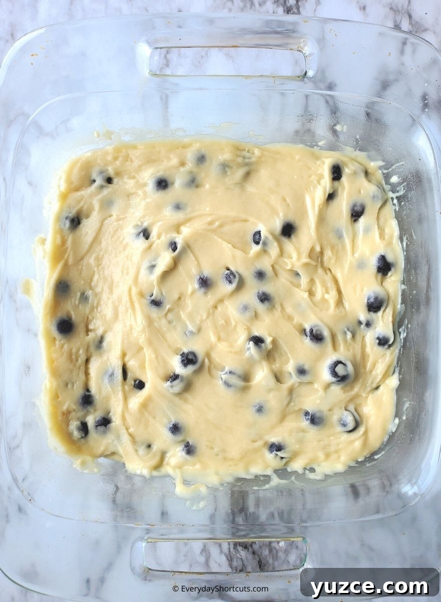 Moist Blueberry Crumble Cake Recipe for Every Occasion 7 img 88104 6