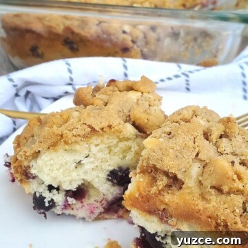Moist Blueberry Crumble Cake Recipe for Every Occasion 10 img 88104 9
