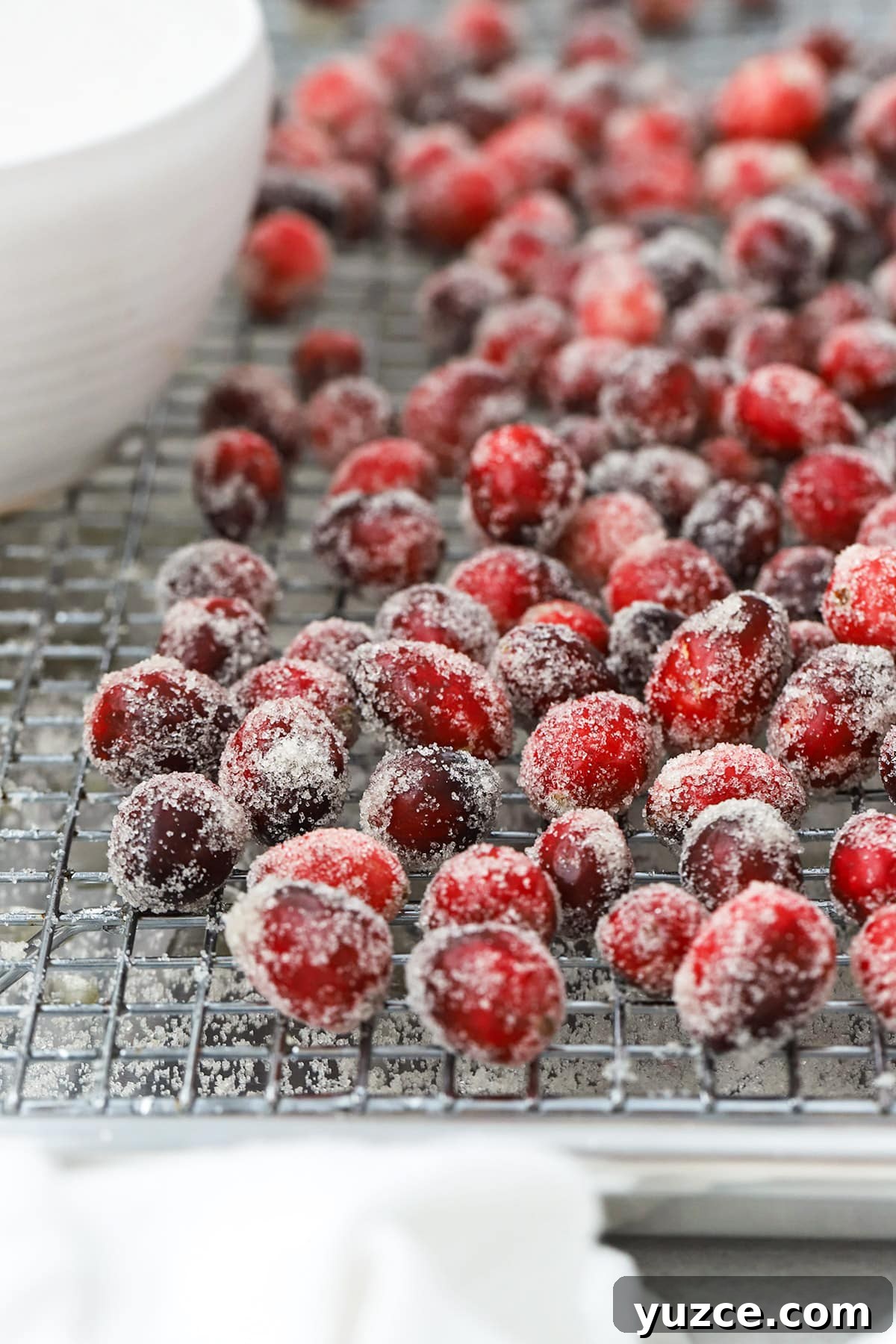 Sugared Cranberries Recipe: Simple Steps for Sparkling Cranberry Garnish 12 Front view of sugar covered cranberries on a wire rack