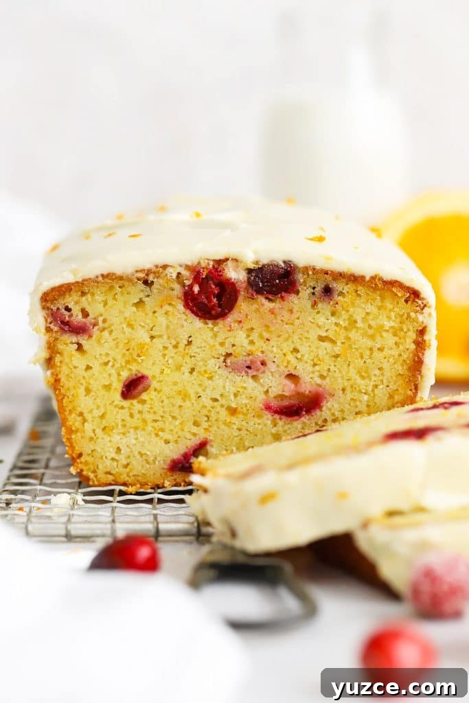 Sugared Cranberries Recipe: Simple Steps for Sparkling Cranberry Garnish 19 Front view of gluten-free orange cranberry loaf cake sliced