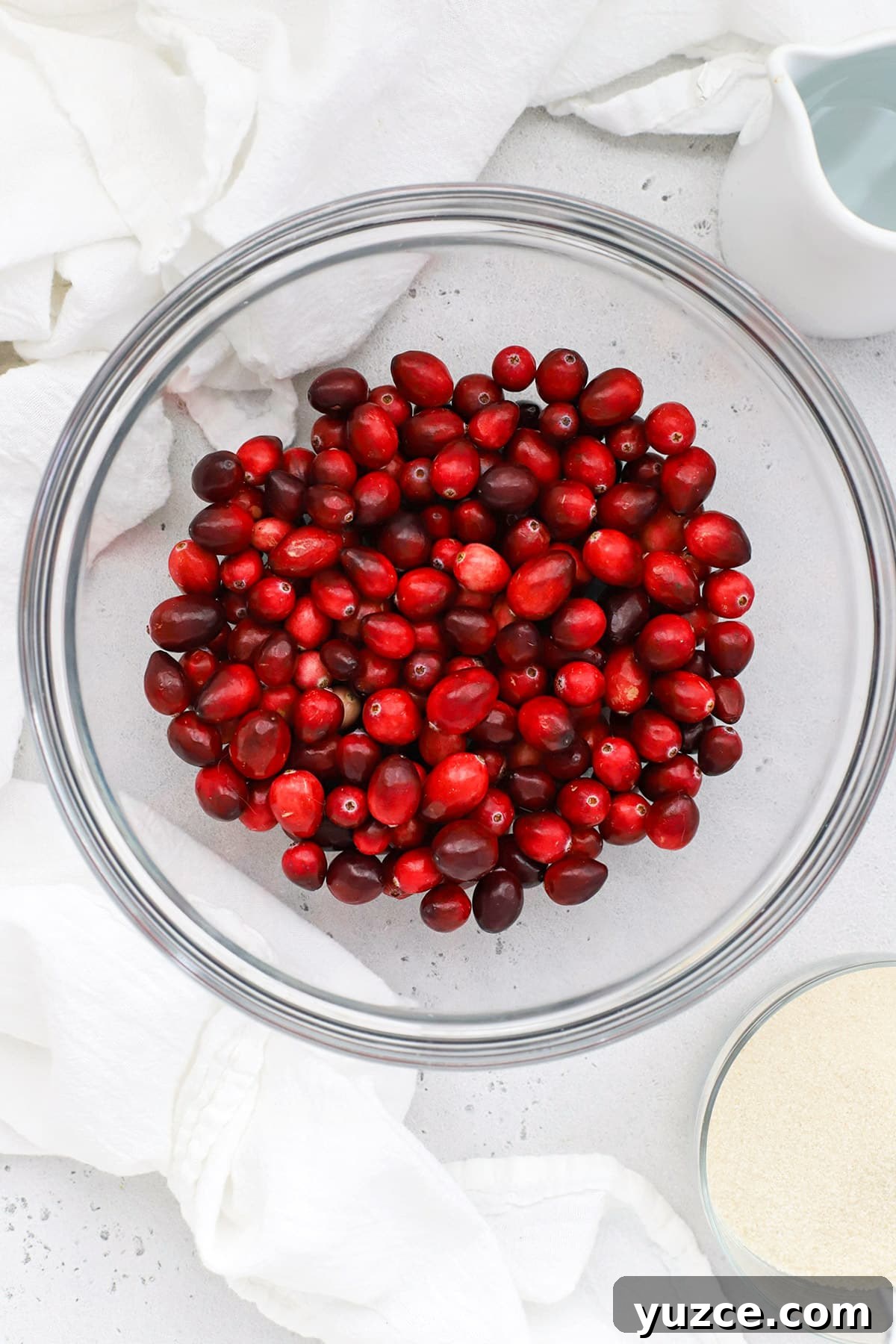Sugared Cranberries Recipe: Simple Steps for Sparkling Cranberry Garnish 3 Overhead view of ingredients for sugared cranberries - fresh cranberries, water, and sugar