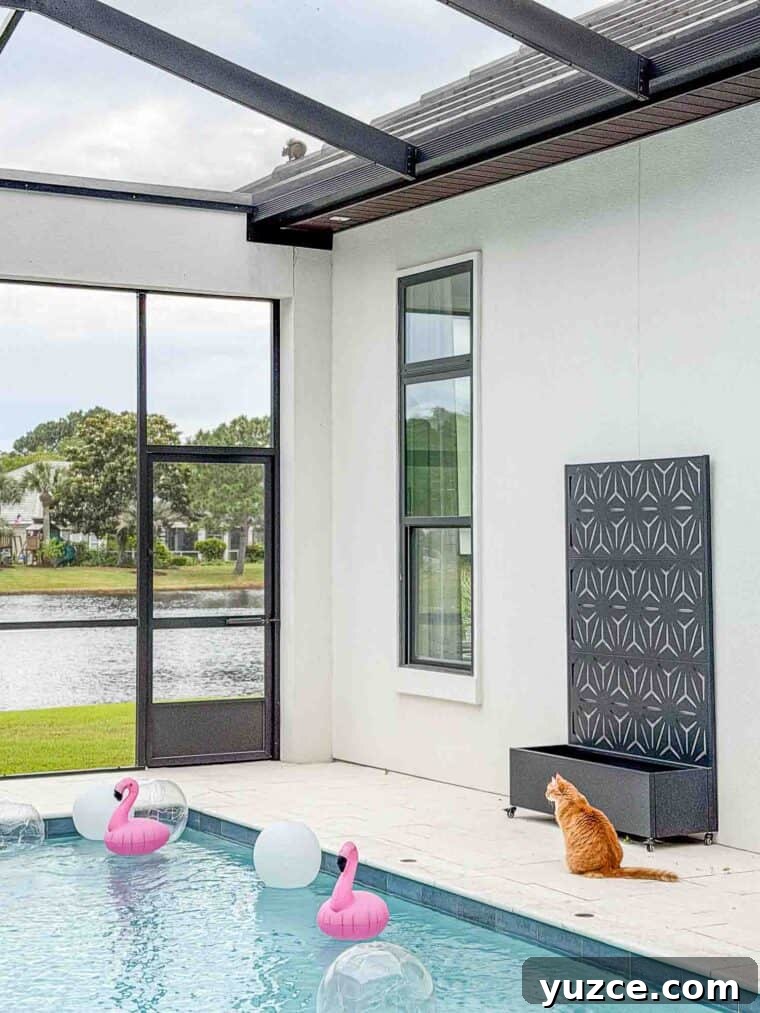 Meow Monday: Cute Cat Photos and Tips to Brighten Your Week 3 Mango by the pool