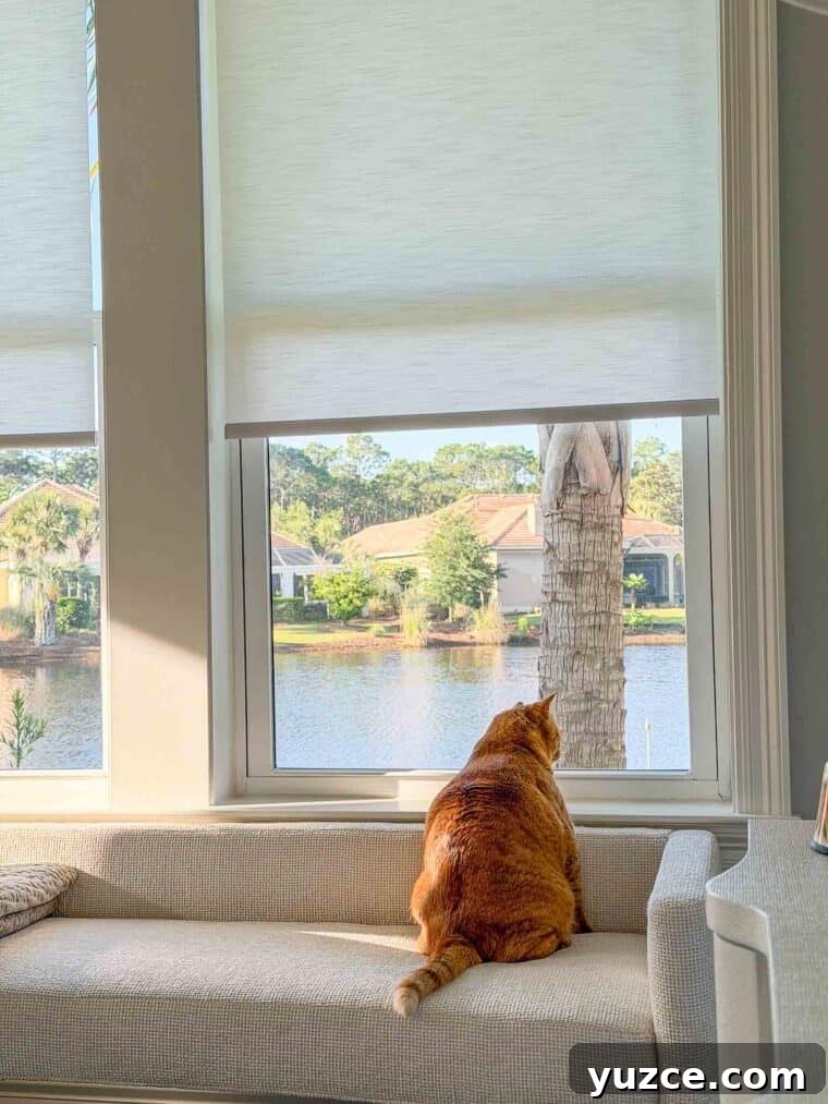 Meow Monday: Cute Cat Photos and Tips to Brighten Your Week 5 Mack on squirrel patrol