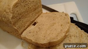 Prepared Pantry Fully Loaded Baked Potato Bread Mix Review — Taste, Texture & Verdict 6 New York Dill Rye