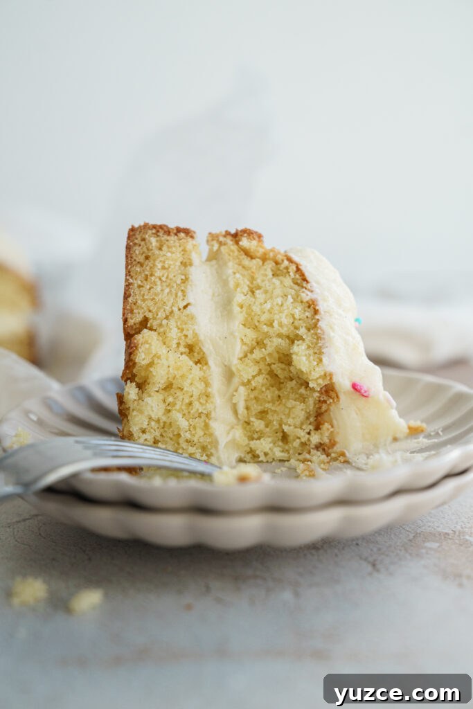 One-Pan Vanilla Bean Cake Recipe for Moist, Simple Baking 4 img 909 3