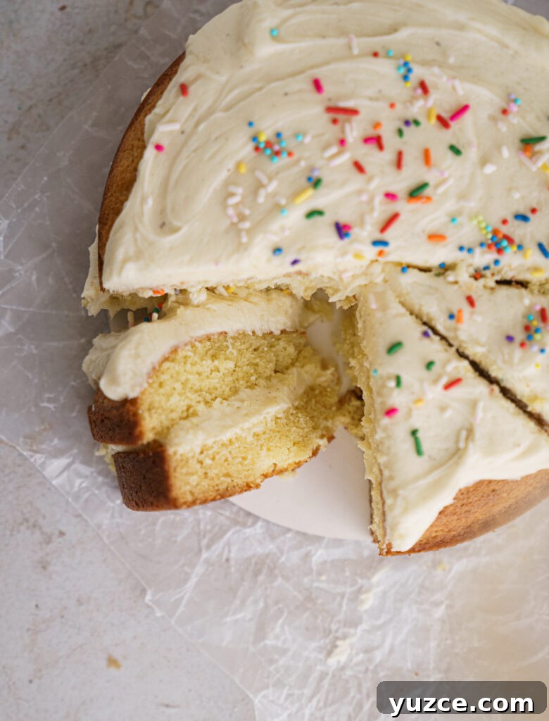 One-Pan Vanilla Bean Cake Recipe for Moist, Simple Baking 5 img 909 4