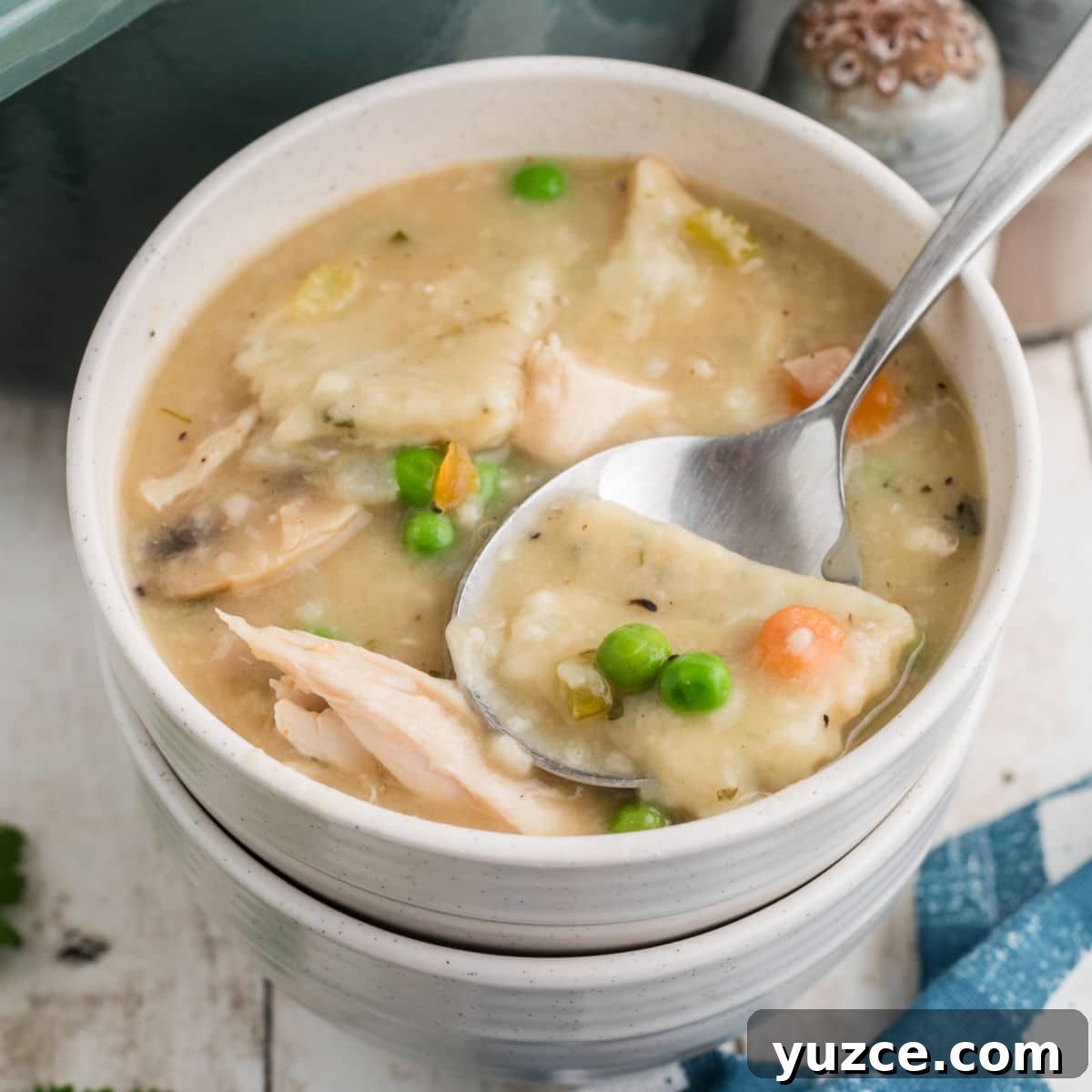 Hearty Dutch Oven Soup Recipes for Cozy Meals 5 A served up bowl of chicken dumpling soup.