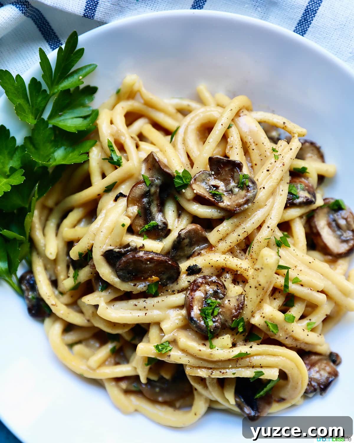 Perfect Wine Pairings for Popular Pasta Dishes 13 Creamy Pasta with Crispy Mushrooms FEATURE