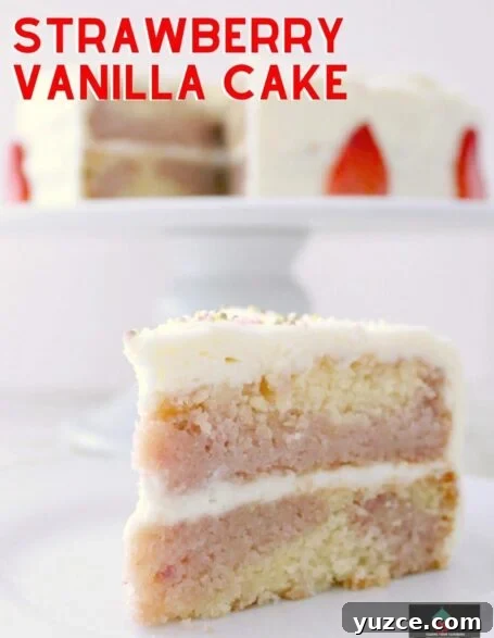 Strawberry Vanilla Layer Cake Recipe for Moist, Flavorful Dessert 2 Strawberry and Vanilla Cake. A soft and moist cake bursting with delicious strawberry and vanilla flavors. It tastes out of this world!
