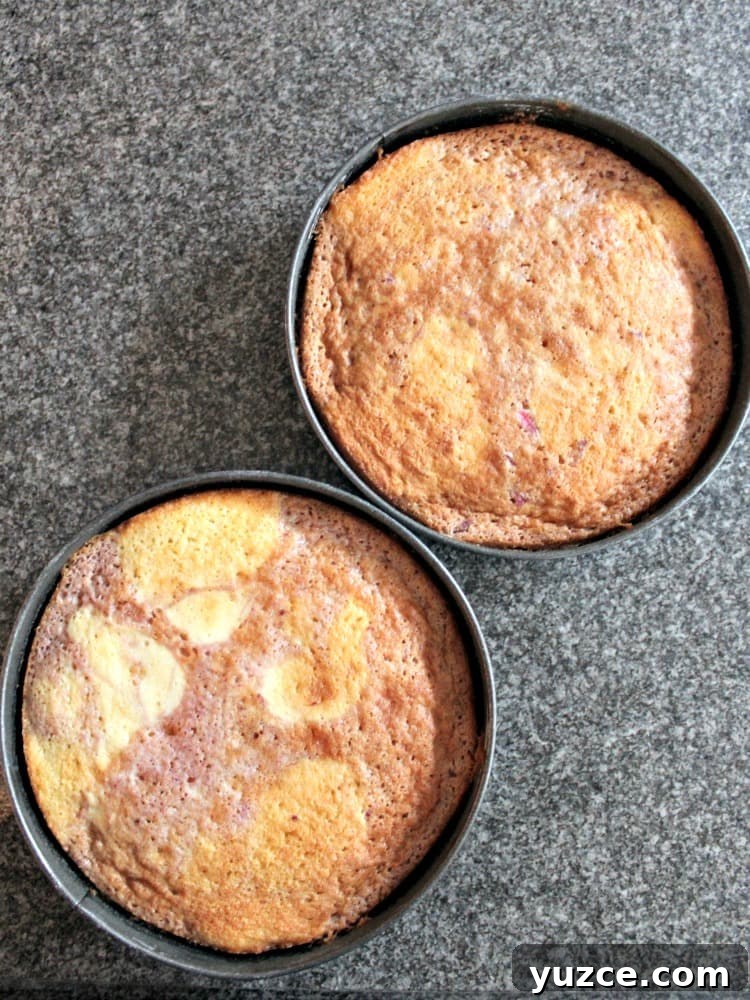 Strawberry and Vanilla Cake, baked. Strawberry and Vanilla Cake, baked.
