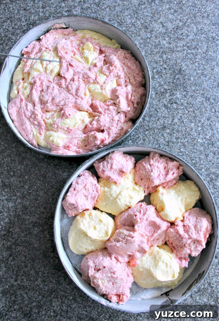 Strawberry and Vanilla Cake, adding cake batter to pans Strawberry and Vanilla Cake, adding cake batter to pans
